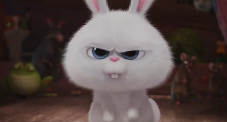 Тайная жизнь домашних животных (2016)