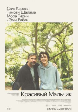 Фильм Красивый мальчик (2018)