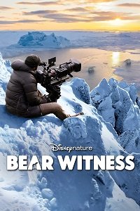 Фильм Наблюдение за медведем (2022)