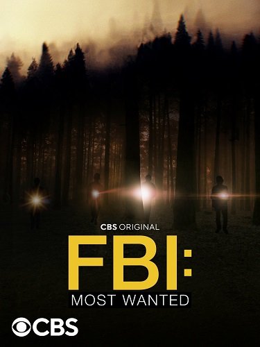 Фильм ФБР: Самые разыскиваемые преступники (4 сезон)