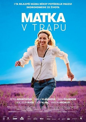 Фильм Мать в бегах (2024)